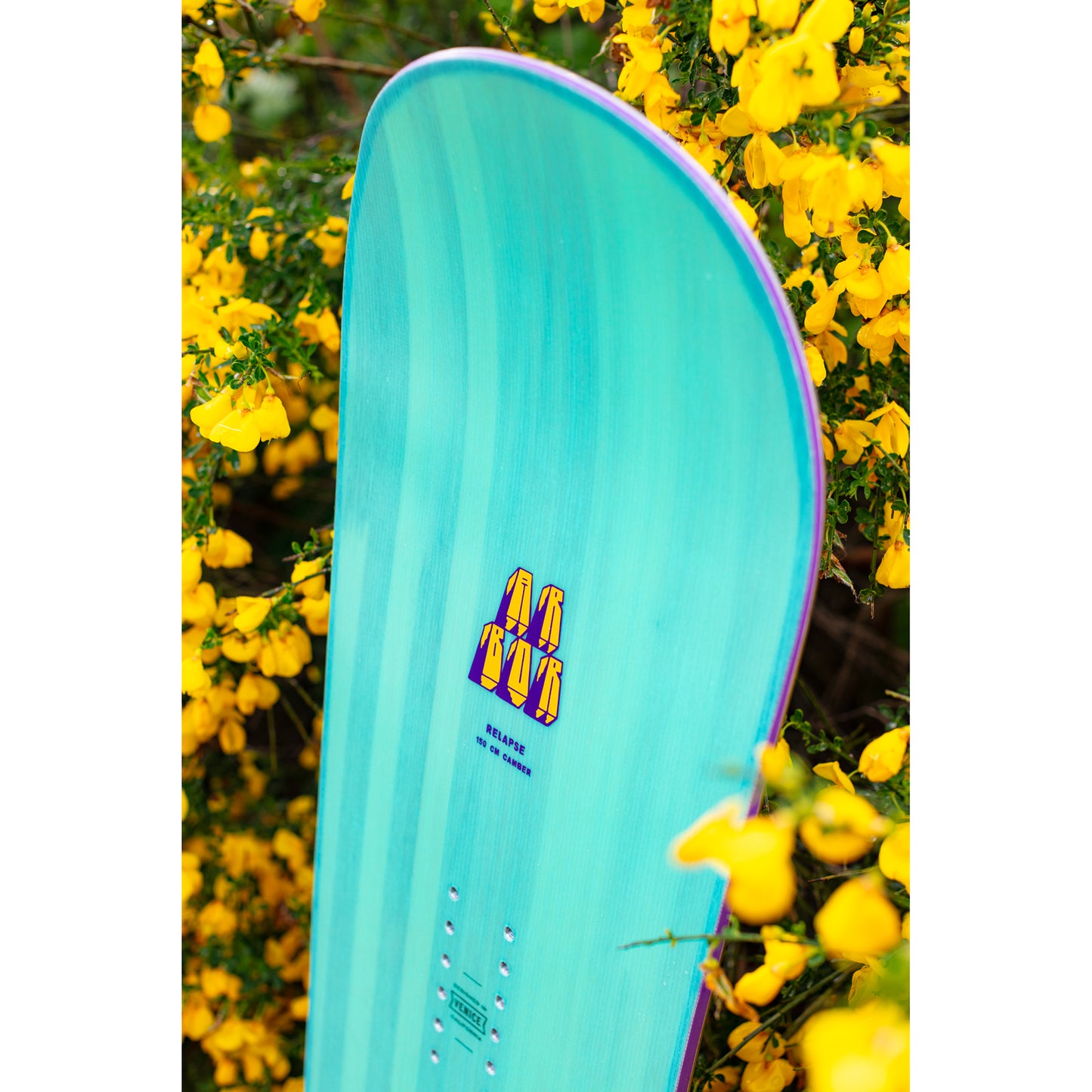 arbor relapse snowboard